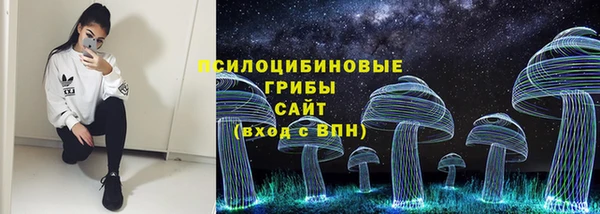 герыч Алексин