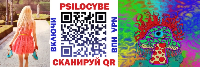 KRAKEN ССЫЛКА  Коряжма  Галлюциногенные грибы мицелий 